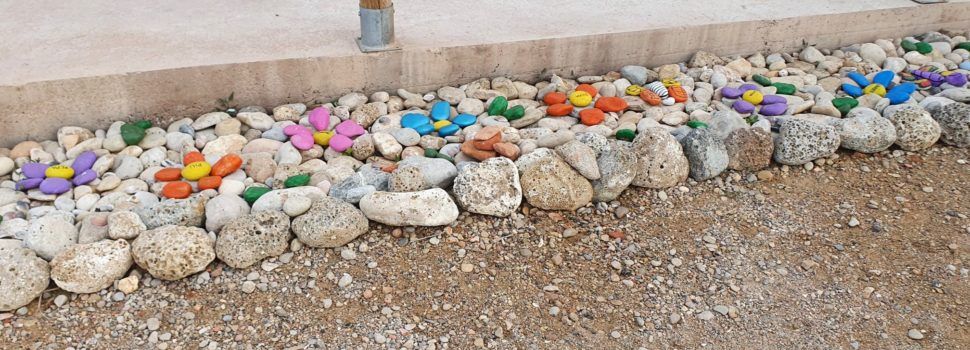 Fotos: Un altre “jardinet” a la vora de la mar a Vinaròs