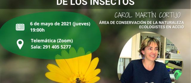 Conferencia sobre la importancia de la conservación de los insectos