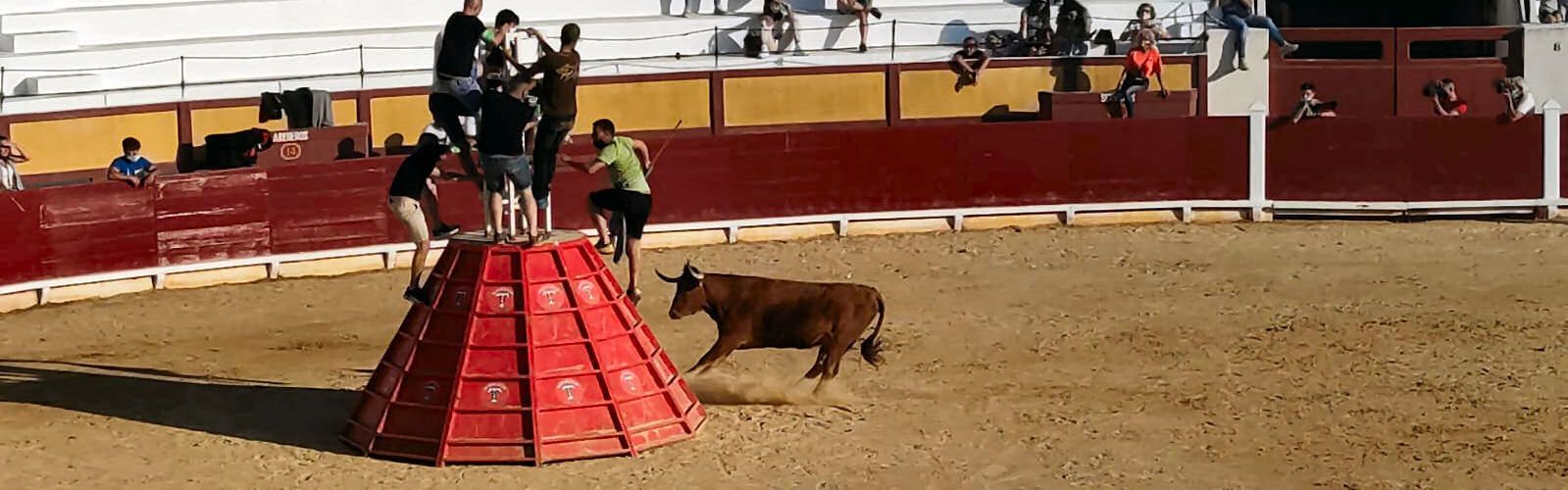 Cinc ramaderies en el segon espectacle taurí a la plaça de bous de Vinaròs