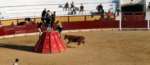 Cinc ramaderies en el segon espectacle taurí a la plaça de bous de Vinaròs