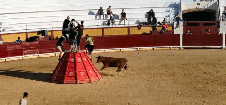 Cinc ramaderies en el segon espectacle taurí a la plaça de bous de Vinaròs