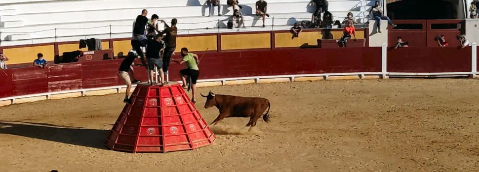 Cinc ramaderies en el segon espectacle taurí a la plaça de bous de Vinaròs