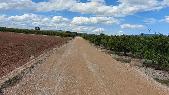 L’Ajuntament de Vinaròs adequa camins rurals amb la col·laboració del Consorci de Bombers