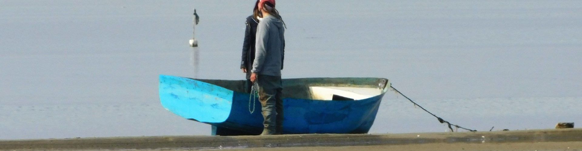 Fotos: El Delta de l’Ebre, des del mirador de Patrau