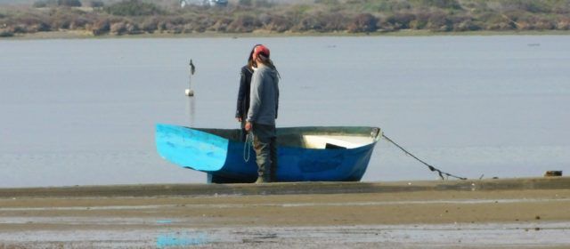 Fotos: El Delta de l’Ebre, des del mirador de Patrau