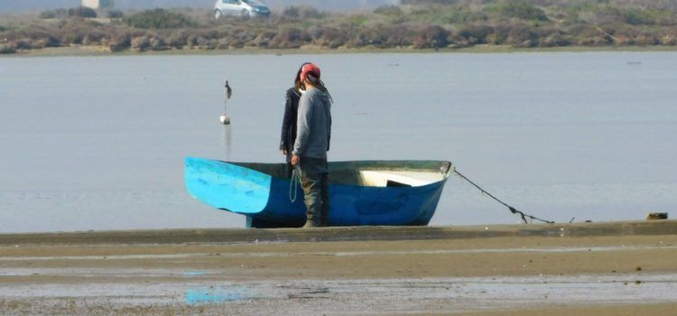 Fotos: El Delta de l’Ebre, des del mirador de Patrau
