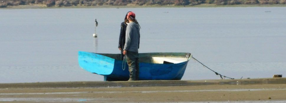 Fotos: El Delta de l’Ebre, des del mirador de Patrau
