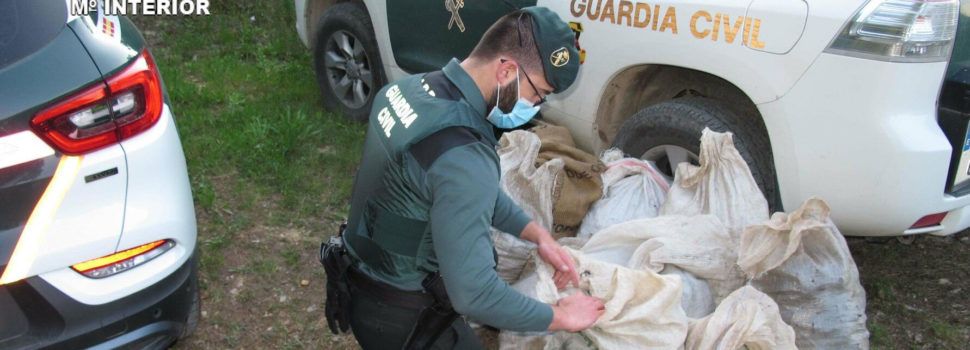 La Guardia Civil investiga a dos personas  por el robo de algarrobas en Godall