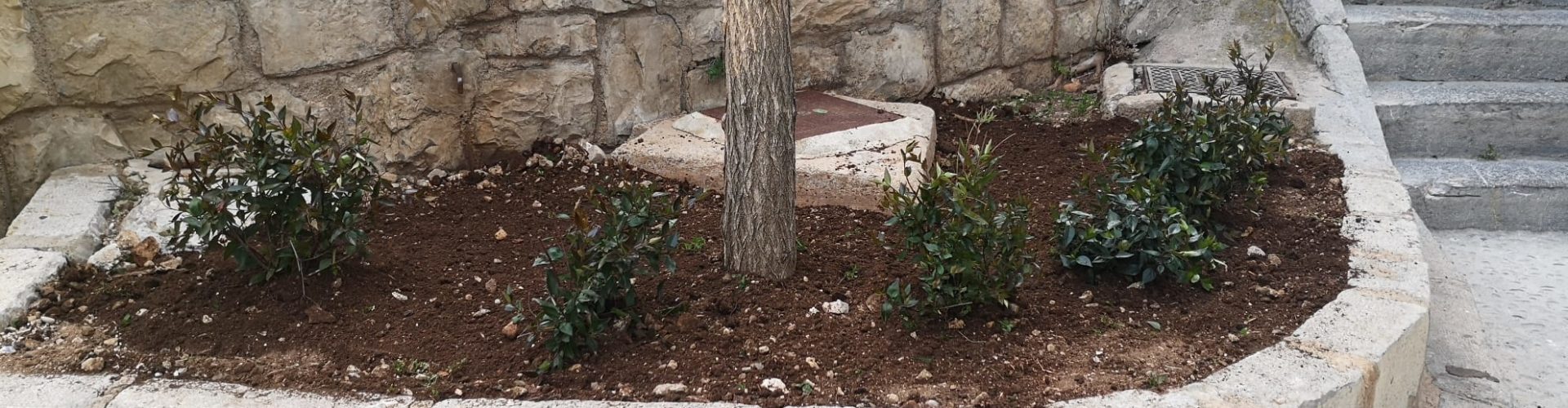 L’Ajuntament de Peníscola intensifica les tasques de millora de la jardineria en el municipi