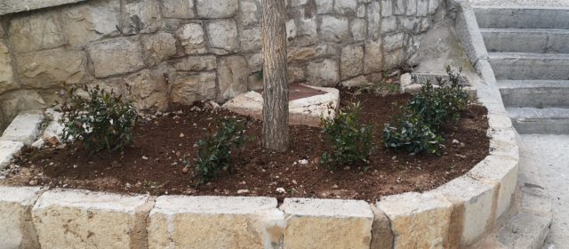 L’Ajuntament de Peníscola intensifica les tasques de millora de la jardineria en el municipi