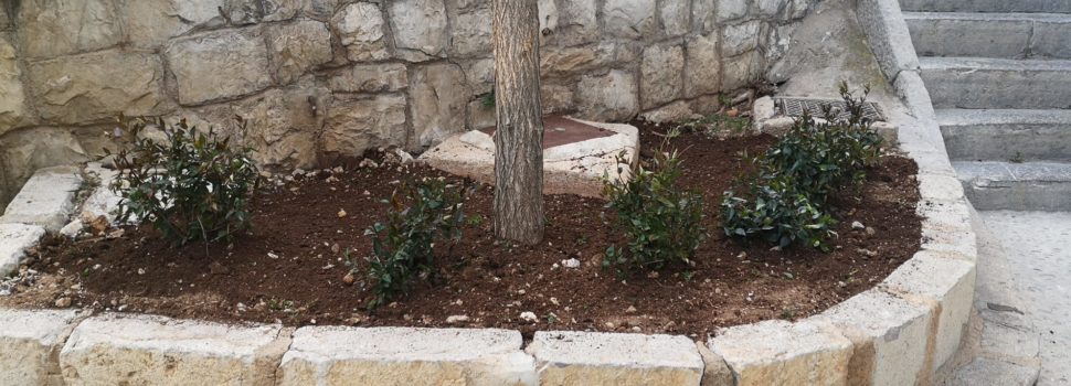L’Ajuntament de Peníscola intensifica les tasques de millora de la jardineria en el municipi
