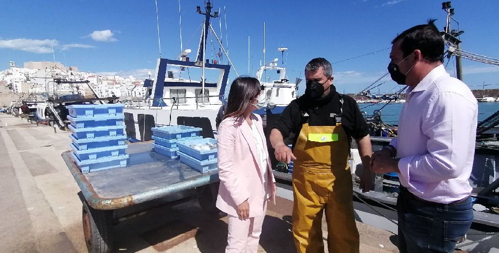 El Ayuntamiento de Peñíscola lleva a pleno la defensa y protección del sector pesquero