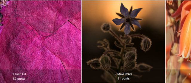 Joan Gil guanya la lligueta de maig de l’Associació Fotogràfica de Vinaròs