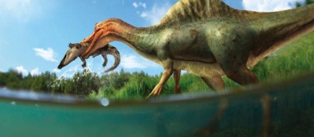 El Morelladon y el Vallibonavenatrix, en un reportaje de National Geographic