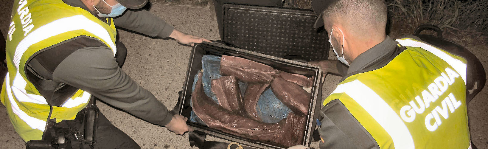 La Guardia Civil intercepta 28,5 kg de Atún Rojo en época de veda en Riumar (Deltebre)