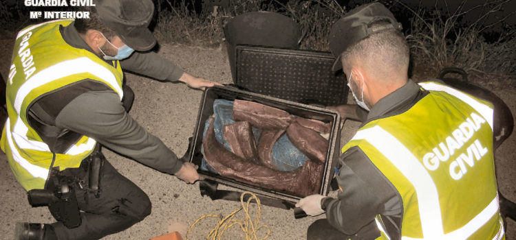 La Guardia Civil intercepta 28,5 kg de Atún Rojo en época de veda en Riumar (Deltebre)