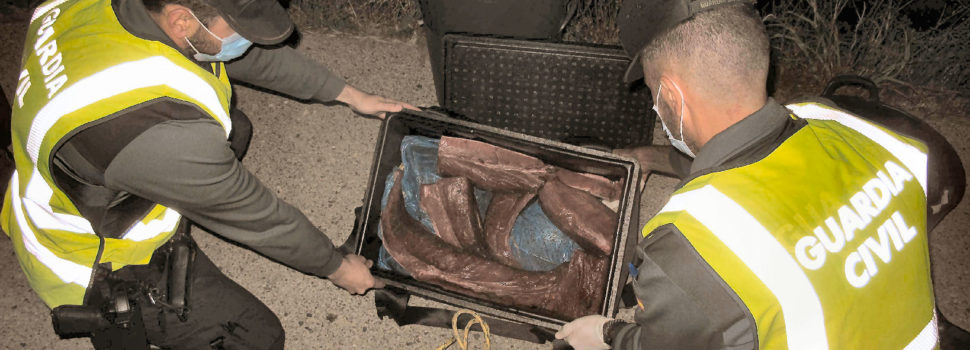 La Guardia Civil intercepta 28,5 kg de Atún Rojo en época de veda en Riumar (Deltebre)