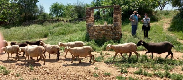 Fotos: Visita escolar als barris d’Ulldecona
