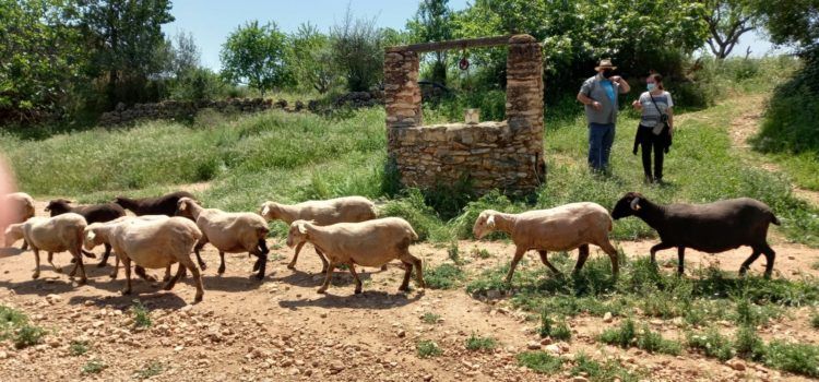 Fotos: Visita escolar als barris d’Ulldecona