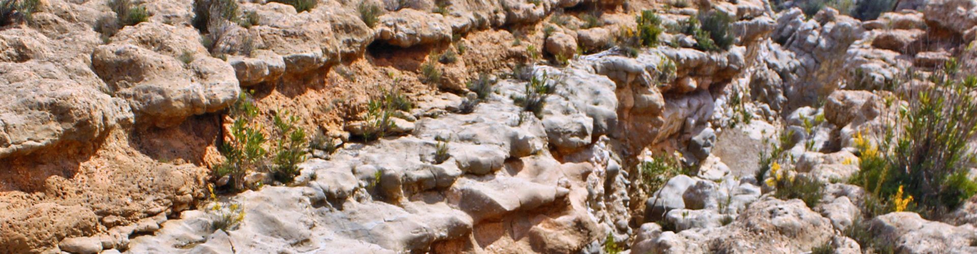 Ben Vist: Per dalt dels “Estrets” del Servol