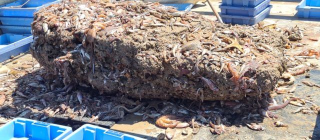 “Pesca” a Vinaròs d’una roca de dos mil quilos