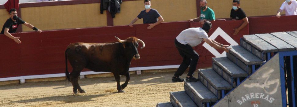 Los actos taurinos van recuperándose en la provincia castellonense