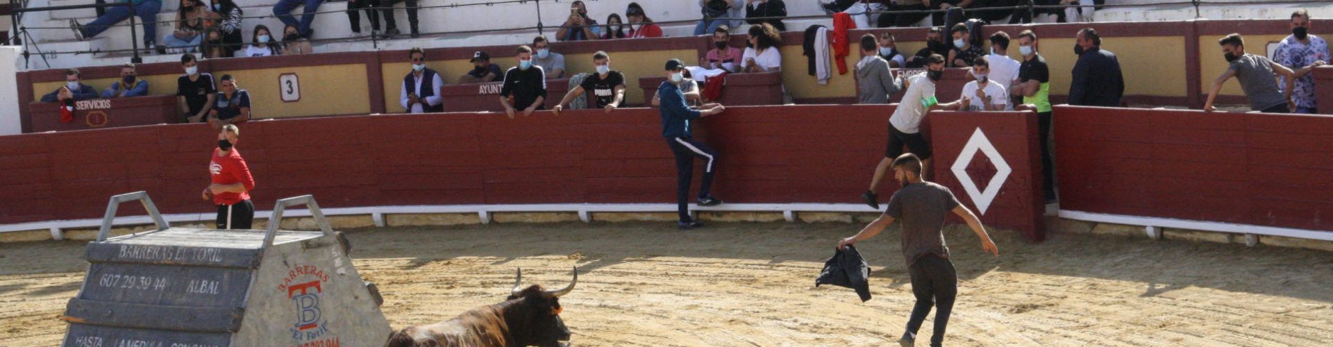 Vinaròs inauguró la temporada taurina provincial con tres ganaderías participantes