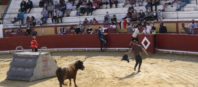 Vinaròs inauguró la temporada taurina provincial con tres ganaderías participantes