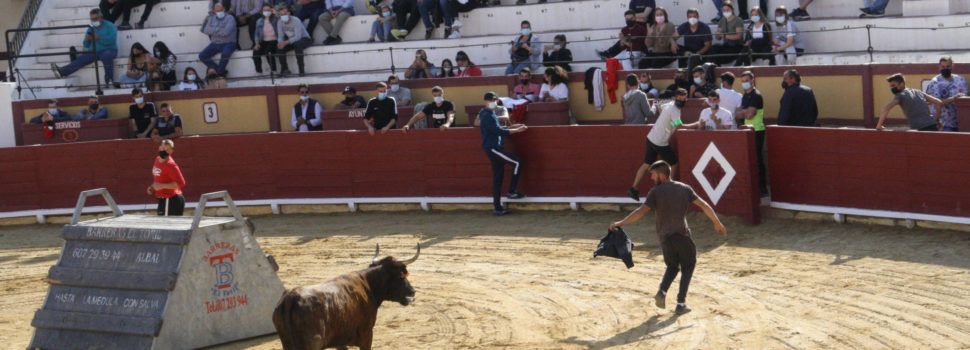 Vinaròs inauguró la temporada taurina provincial con tres ganaderías participantes