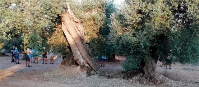 Canet anima a viure experiències úniques a través de rutes singulars