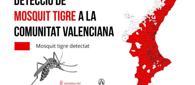 Sanidad destina 350.000 euros a ayudas para erradicar el mosquito tigre en la Comunitat Valenciana