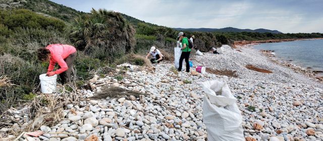 Recogen todo tipo de residuos en la playa de La Basseta (Peñíscola) dentro de la campaña “Limpiemos los mares”