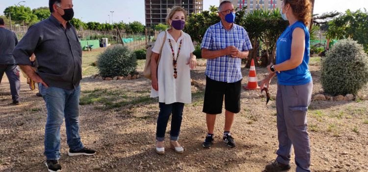 L’Ajuntament de Vinaròs adjudica la totalitat dels horts urbans
