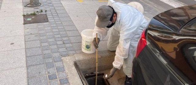 Benicarló intensifica la campanya contra el mosquit tigre de cara als mesos d’estiu
