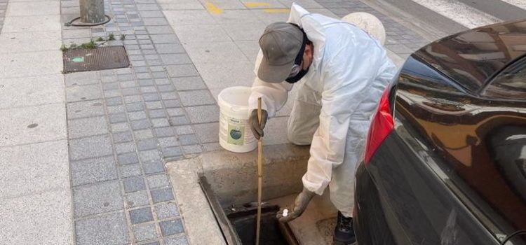Benicarló intensifica la campanya contra el mosquit tigre de cara als mesos d’estiu