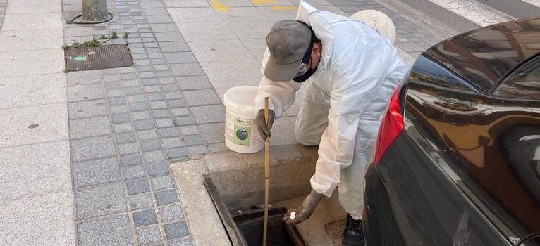 Benicarló intensifica la campanya contra el mosquit tigre de cara als mesos d’estiu