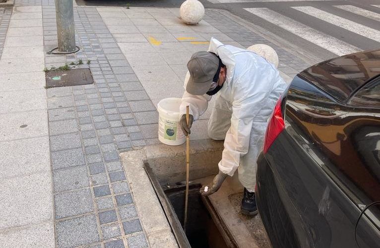 Benicarló intensifica la campanya contra el mosquit tigre de cara als mesos d’estiu