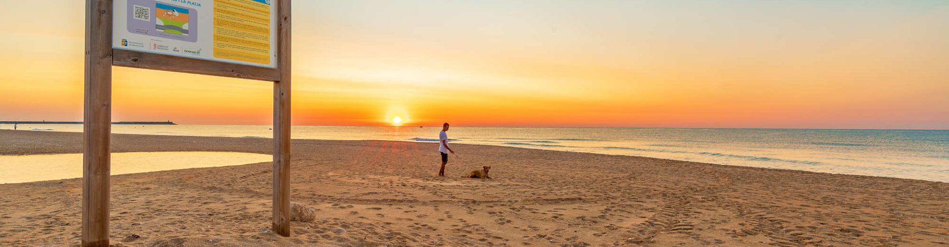 Benicarló instal·la una dutxa per a gossos a la platja per a mascotes del Barranquet