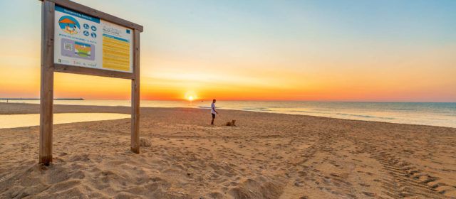 Benicarló instal·la una dutxa per a gossos a la platja per a mascotes del Barranquet