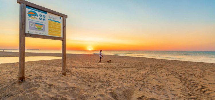 Benicarló instal·la una dutxa per a gossos a la platja per a mascotes del Barranquet