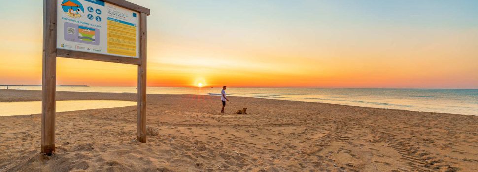 Benicarló instal·la una dutxa per a gossos a la platja per a mascotes del Barranquet