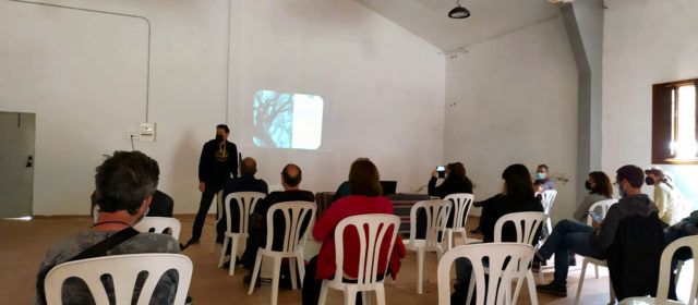 Més de la meitat dels arbres singulars de la Tinença estan al terme de Vallibona