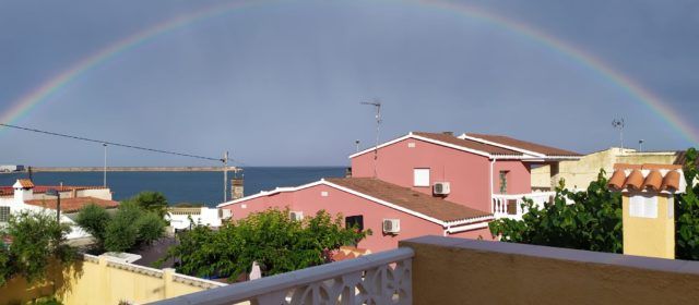 Fotos: L’art de Sant Martí, després del ruixat