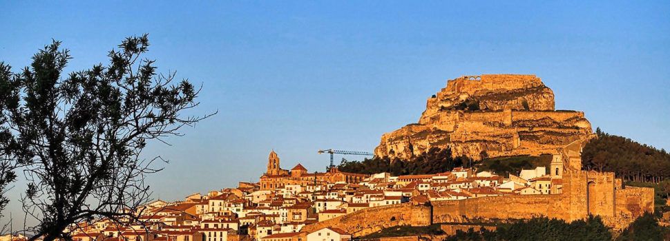 Compromís pregunta al Senat si hi ha hagut troballes paleontològiques durant els treballs en la N-232 i quin ha sigut el seguiment