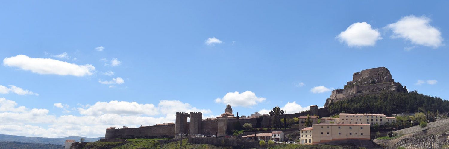 El Centre Integrat de Serveis Econòmics aprova els comptes de l’any 2020 marcats per l’afectació de la COVID-19