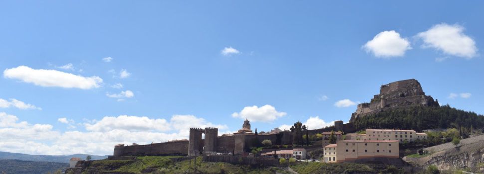 El Centre Integrat de Serveis Econòmics aprova els comptes de l’any 2020 marcats per l’afectació de la COVID-19