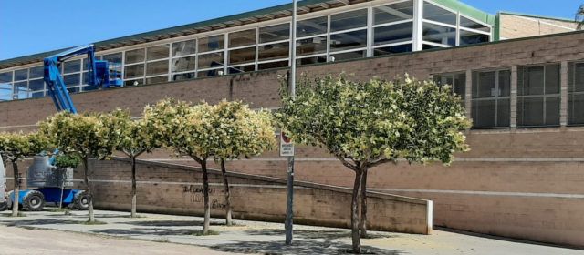 Obres a la coberta del pavelló d’Alcanar per a eliminar les goteres