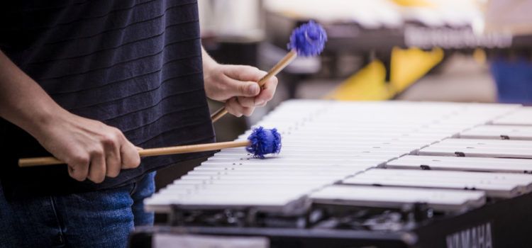 La Diputació de Tarragona concedeix 184 beques per a l’alumnat del seus centres d’ensenyaments musicals i artístics