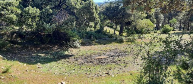Morella vol crear una reserva de fauna a Vallivana per a protegir a una espècie que té més de 250 milions d’anys