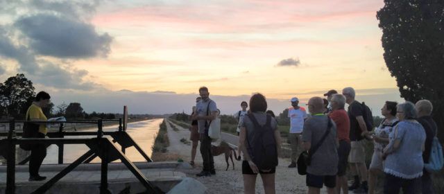 Fotos: Excursió pels espais de la Batalla de l’Ebre a Amposta